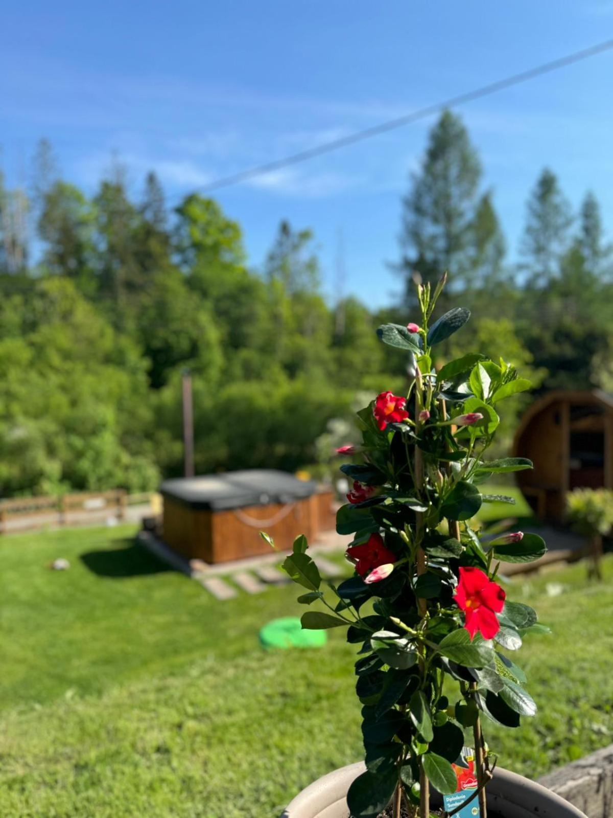 Apartmán Cud Miod Visla Exteriér fotografie